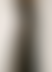 Side panel palazzo pant